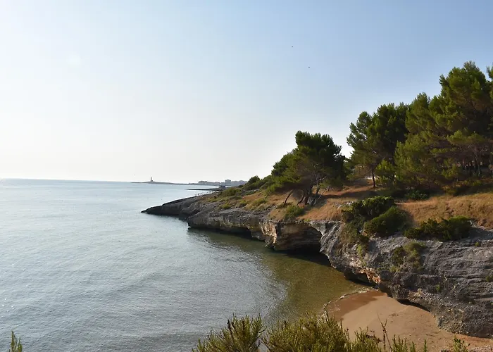 公寓式酒店 Carla